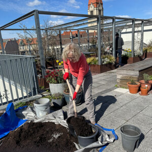 Frau mit Schaufel befüllt Pflanzentopf