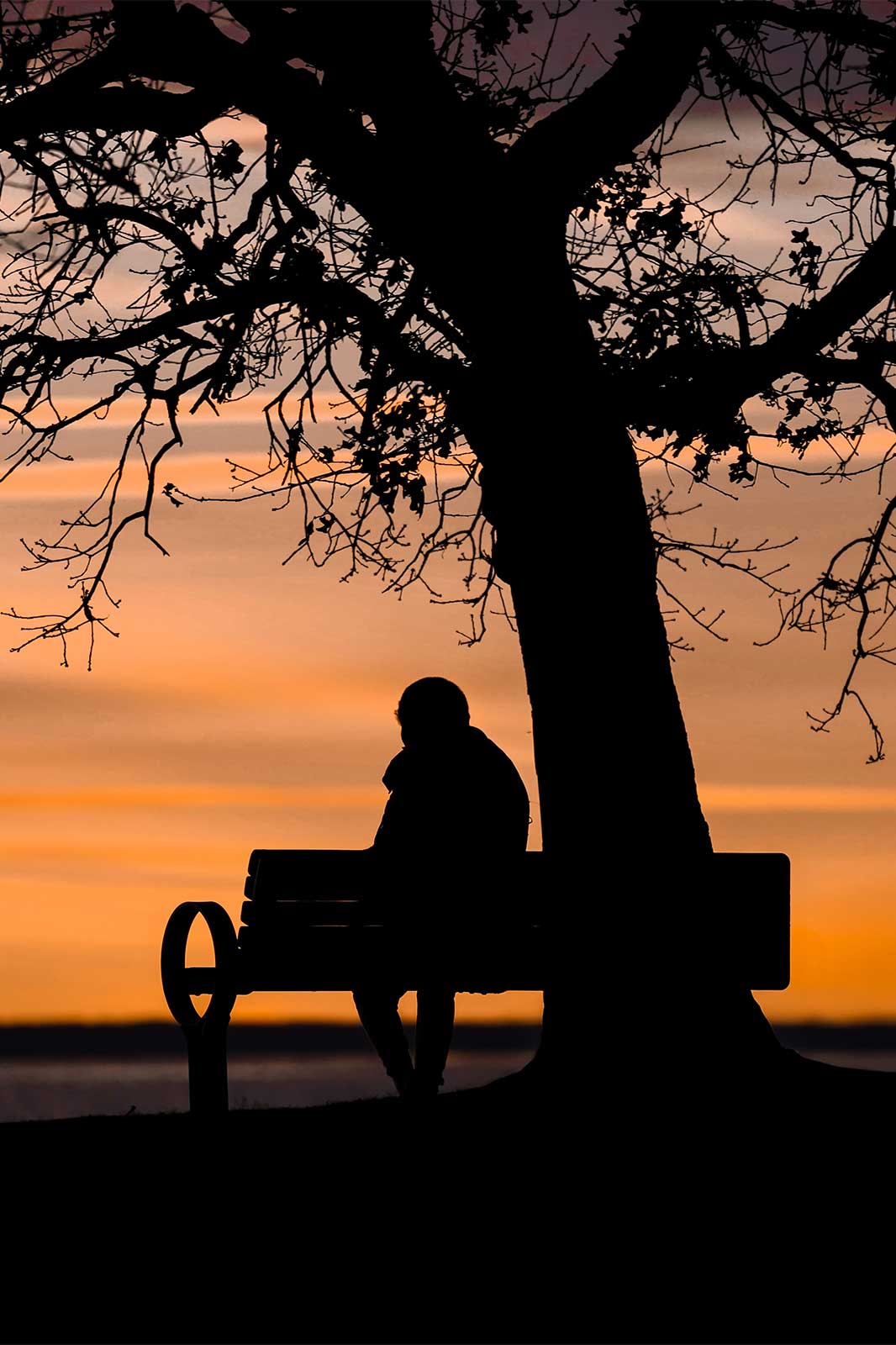 Ein Mensch sitzt in der Abenddämmerung unter einem Baum